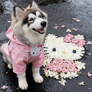 1moo的头像