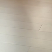 团团的团、的头像