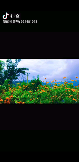 越来越喜欢一个人的独处