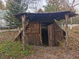 天王盖地虎虎044的图片