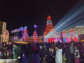 洛兜兜野蛮生长的图片