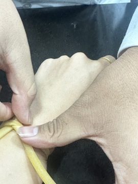 兔🐰休息一天的图片