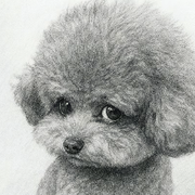 眼神就能把你吓死！