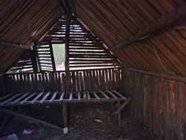 天王盖地虎虎044的图片