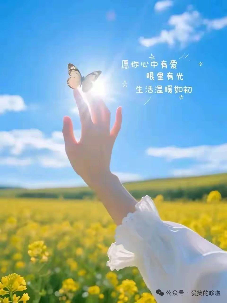 ღ锦鲤来米ꦼ多财多亿主播图片