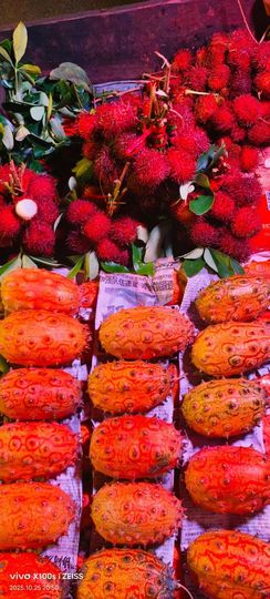 妞妞骑行南宁的图片