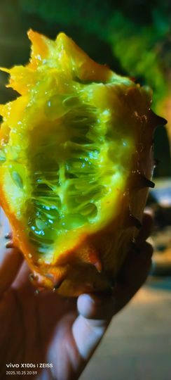 妞妞骑行南宁的图片