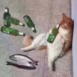 祝大家2025年快乐的图片