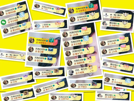 ♬关关♬的图片