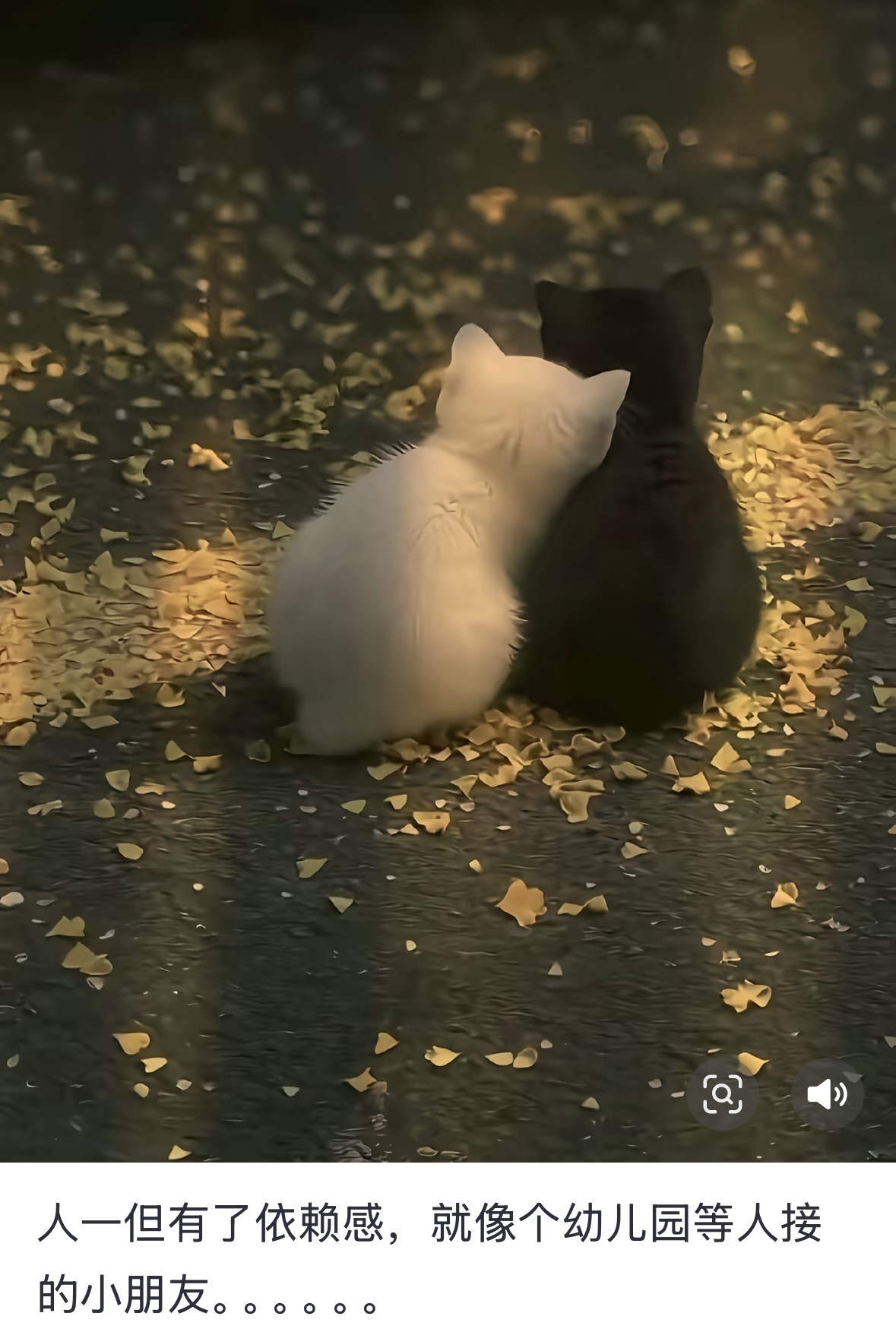 Hi🍃为你而痛🍂主播图片