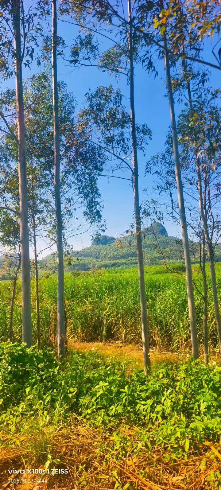 妞妞骑行南宁的主播照片