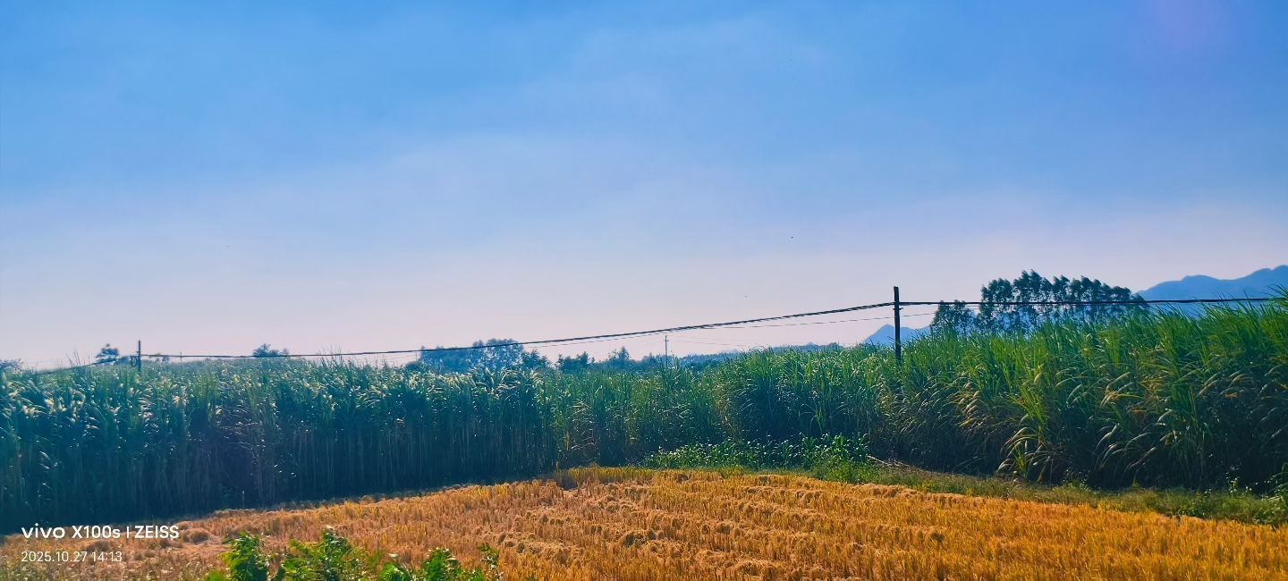 妞妞骑行南宁的主播照片