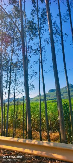 妞妞骑行南宁的图片