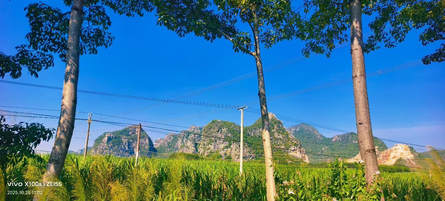 妞妞骑行南宁的主播照片