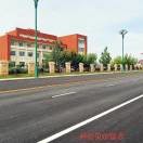 一路上有你15846