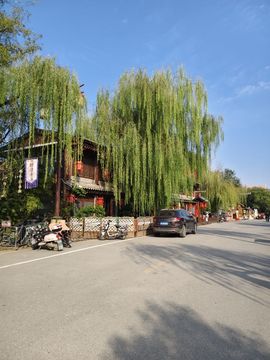 桃子🍑游园中的图片