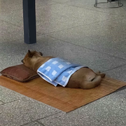 春风十里ゝ