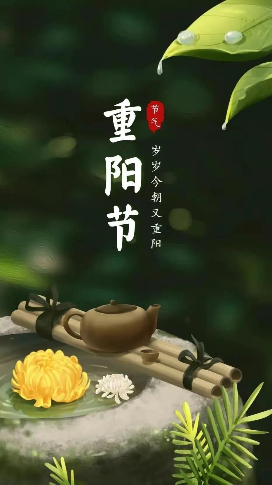 小芳,🌸减肥打卡主播图片