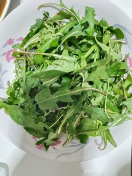 ：时间哥的图片