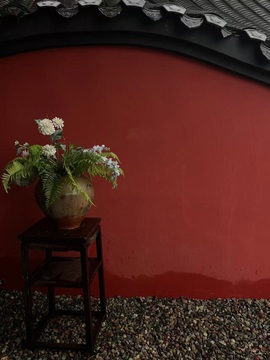 团不团儿的图片