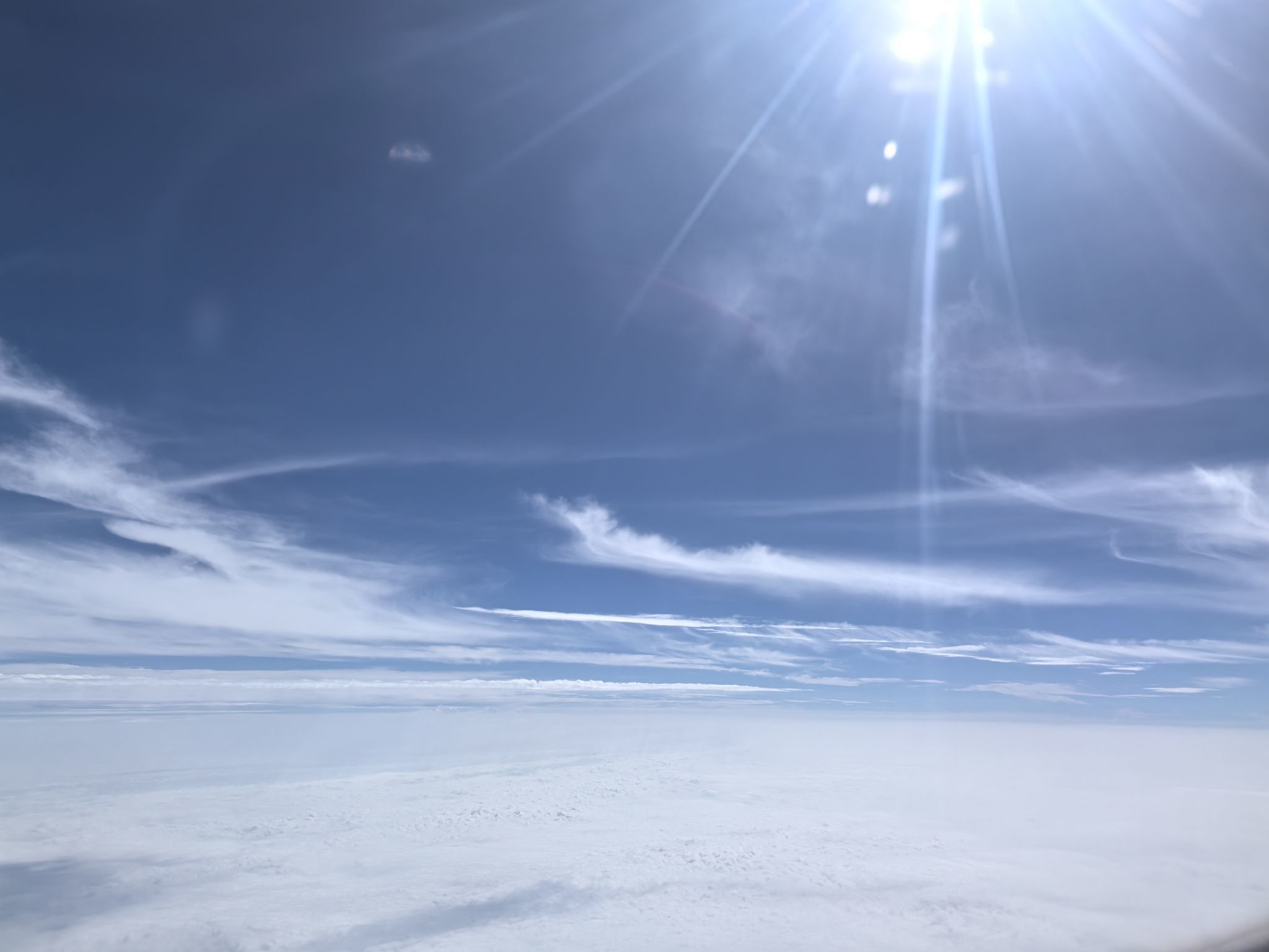 可乐为什么要加冰？主播图片