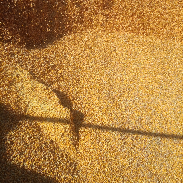 天天开心，哈哈海报