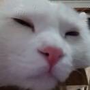 我不想睡觉OyH的头像