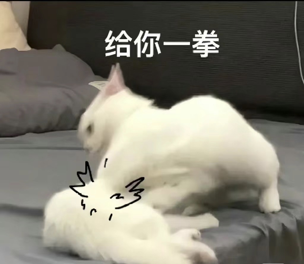 五月代理❀自动秒返主播图片