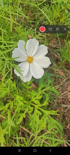 婷婷💕感恩有你陪伴的图片