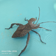 王，差个啥？的头像