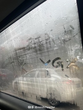 北家玉米🌽的图片