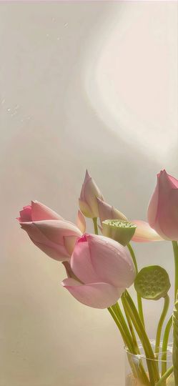 玥儿🌙中午播～的图片