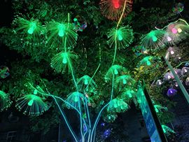 燕燕《承蒙厚爱》的图片