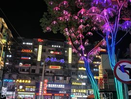 燕燕《承蒙厚爱》的图片