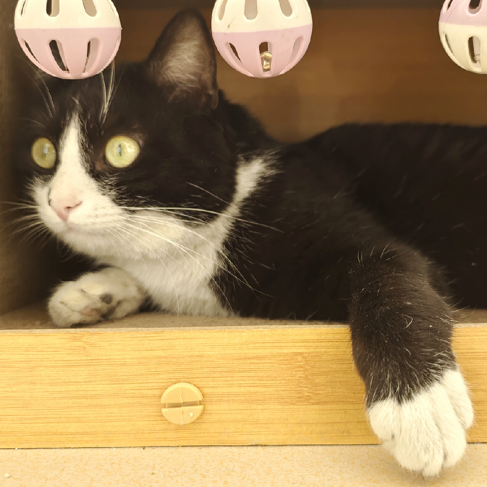 昵称违规，请重新修改海报