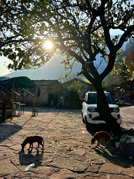 小丸子🍡山里不定时的图片