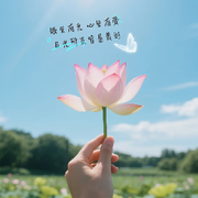 想你的夜会流泪🌻