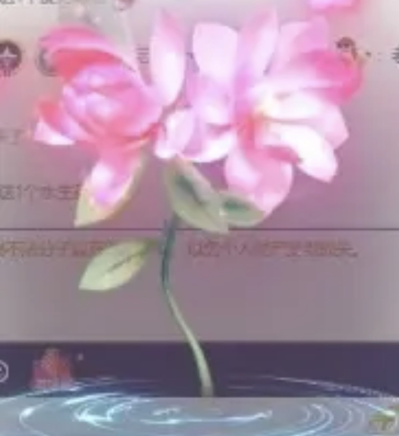 考拉好想升冠主播图片