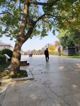 桃子🍑游园中的图片