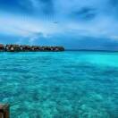 马尔代夫的海kgf的头像