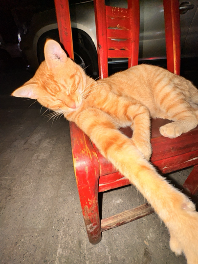 明天会比今天好.海报