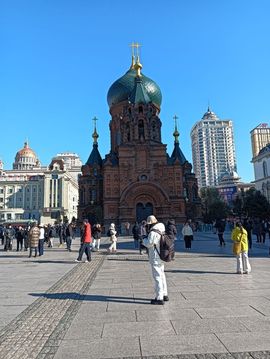 静～静～的图片