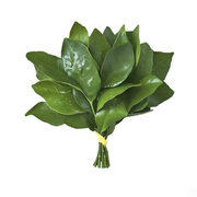 乔尼娜超极品的头像