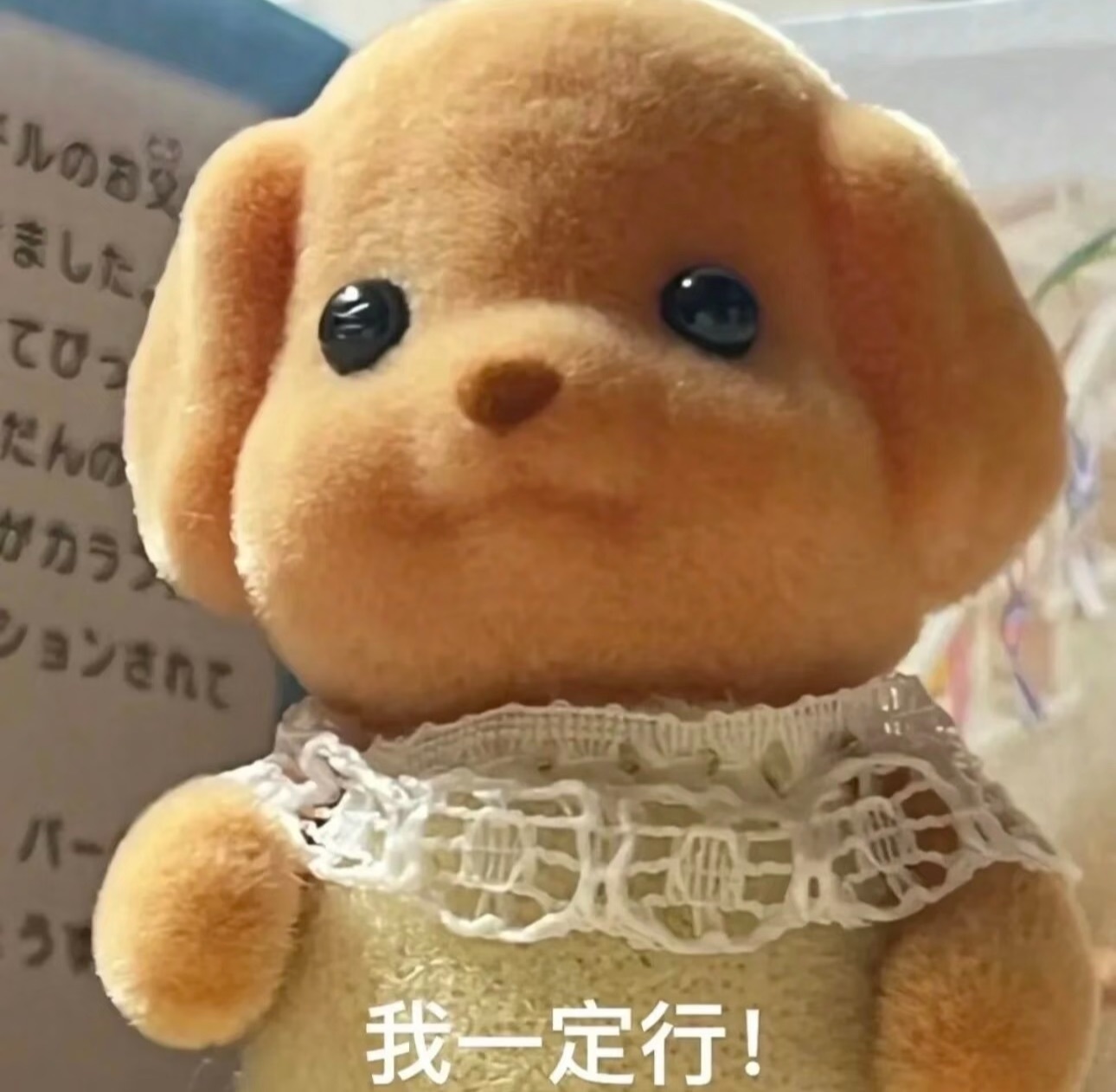 娜扎🧸主播图片