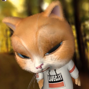 看起来不太聪明的样子