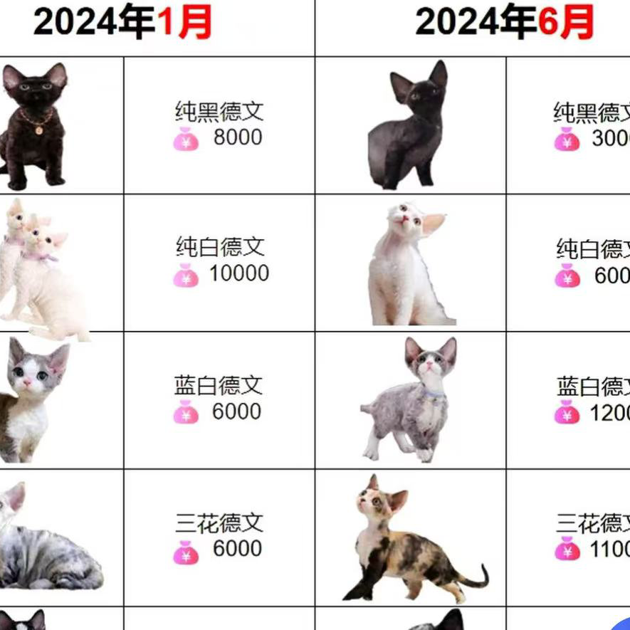 化州市余生化妆品店海报