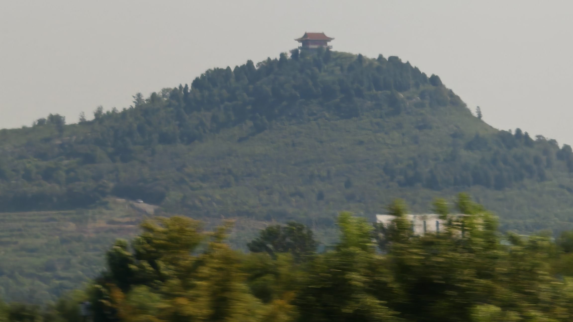 清欢✨️主播图片