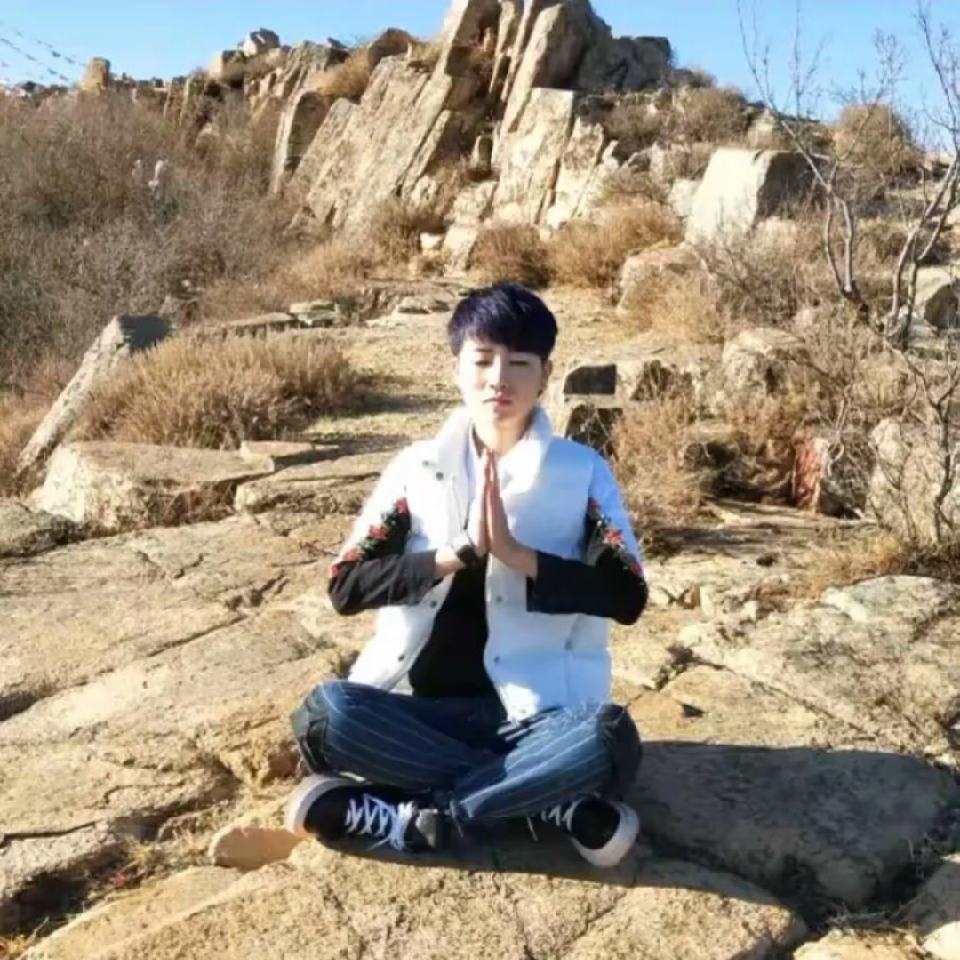 💖天龙💖海报