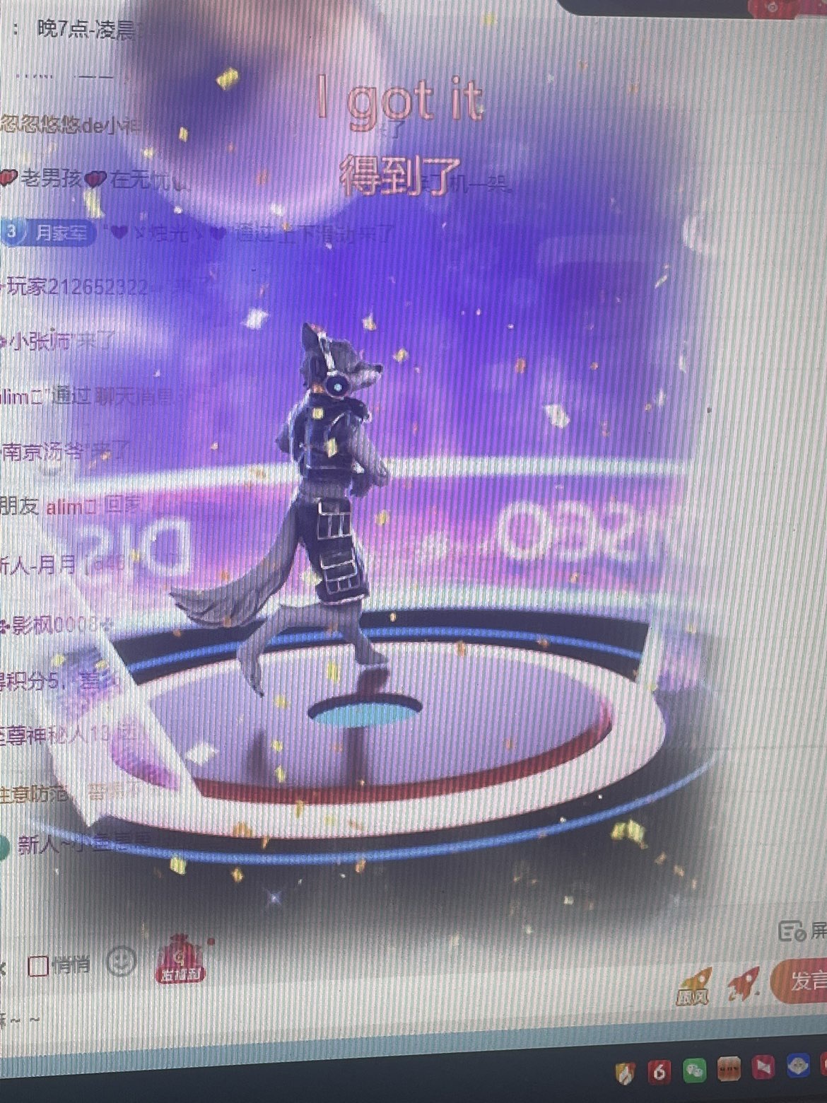 新人-月月主播图片