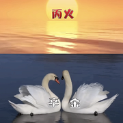 得劲儿u（已退）